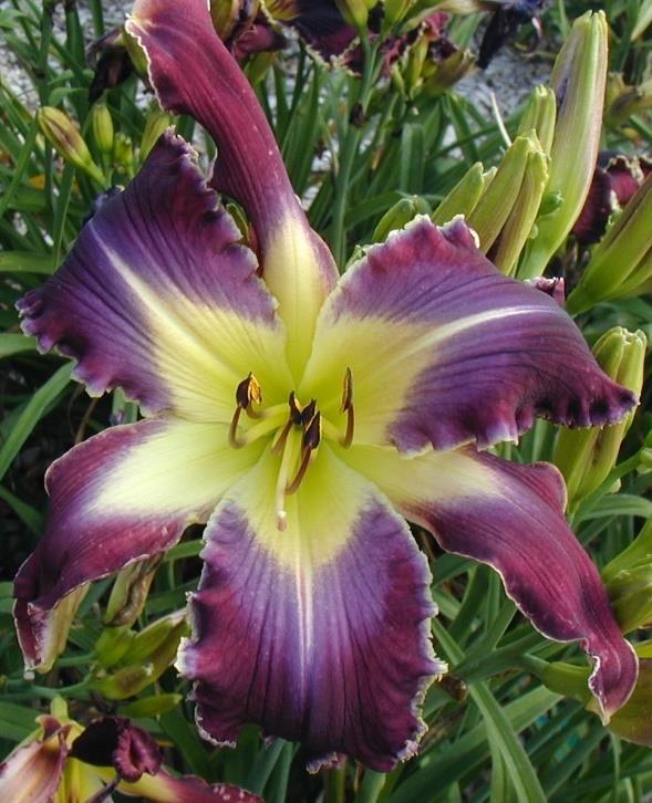 CREATED FOR A PURPOSE