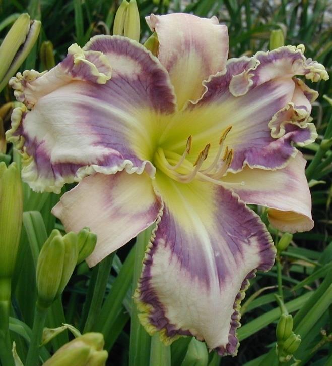 JUST THE WAY YOU ARE